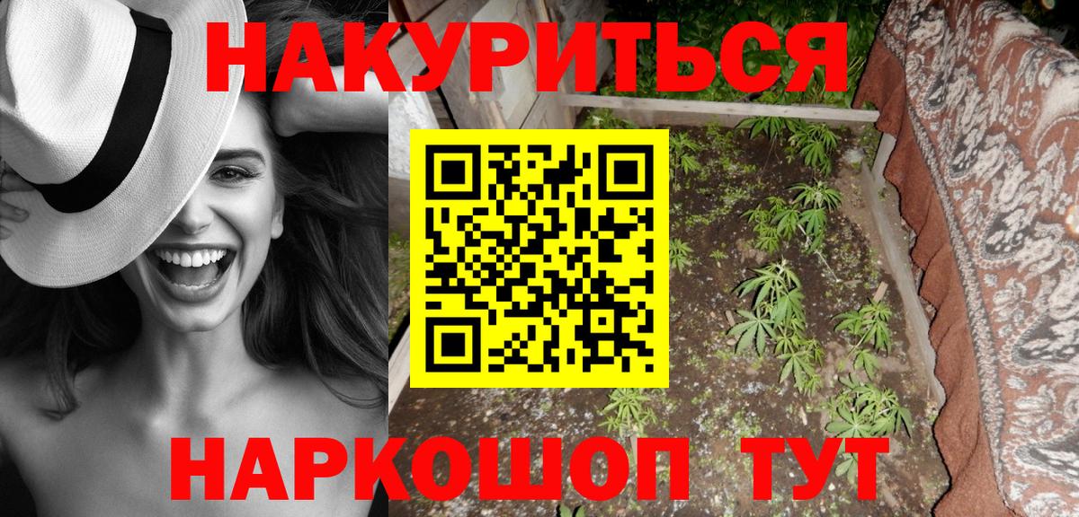 Каннабис White Widow Усть-Джегута